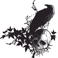 Skull T-Shirt: Craww by Craww
